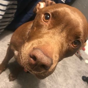 Meet your Posher, Brandon